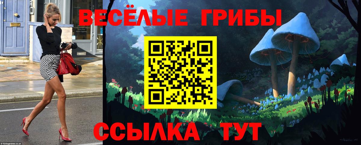 Галлюциногенные грибы MAGIC MUSHROOMS  Вход с VPN  Муравленко 